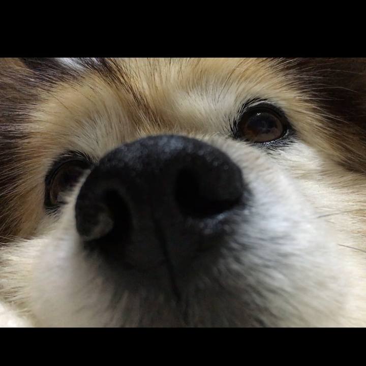 E06efa1d 25fc 44c0 bb97 82cf1789e2b0 1660513698719