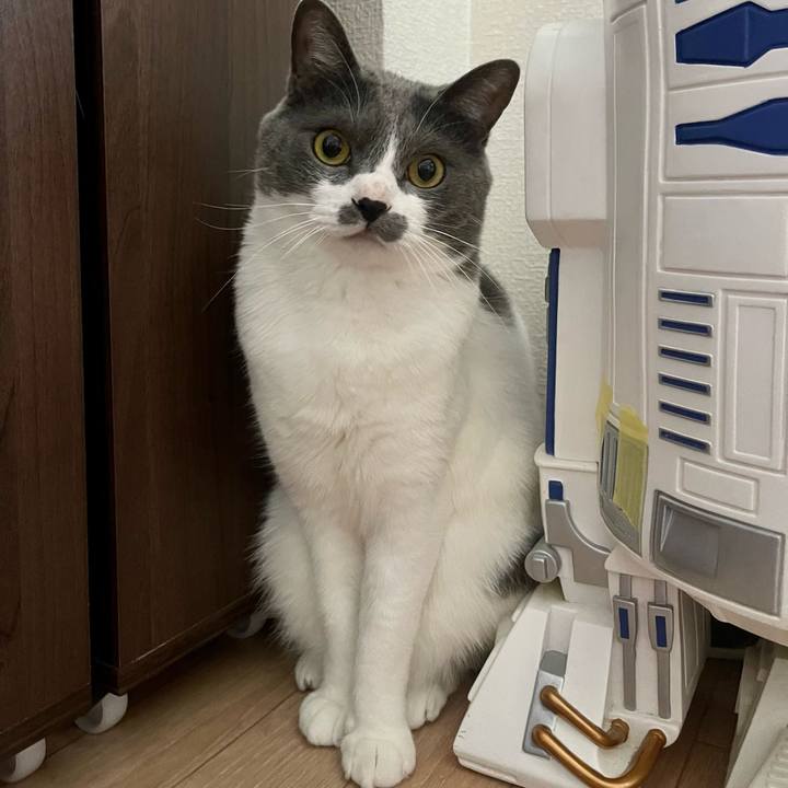 E06f0912 5147 4afd 9e54 d70b26b38151 1650872101296