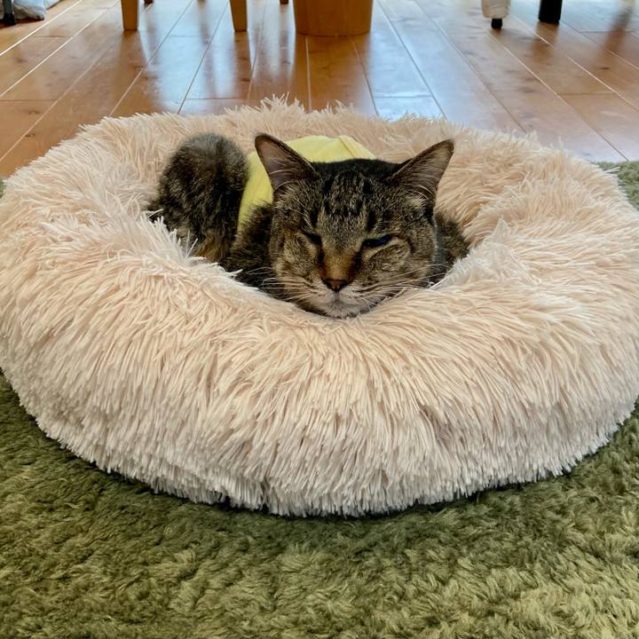 E06f115c 045e 498d a5cb 42de75a54d0c 1685510895913