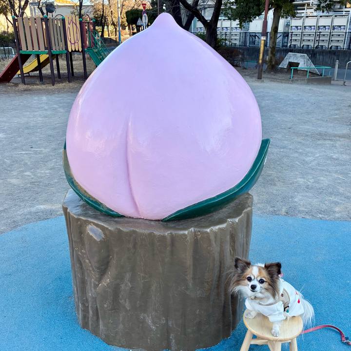 E06f623d 5a4f 47b7 84bc ab55c4d02ce1 1772546468757