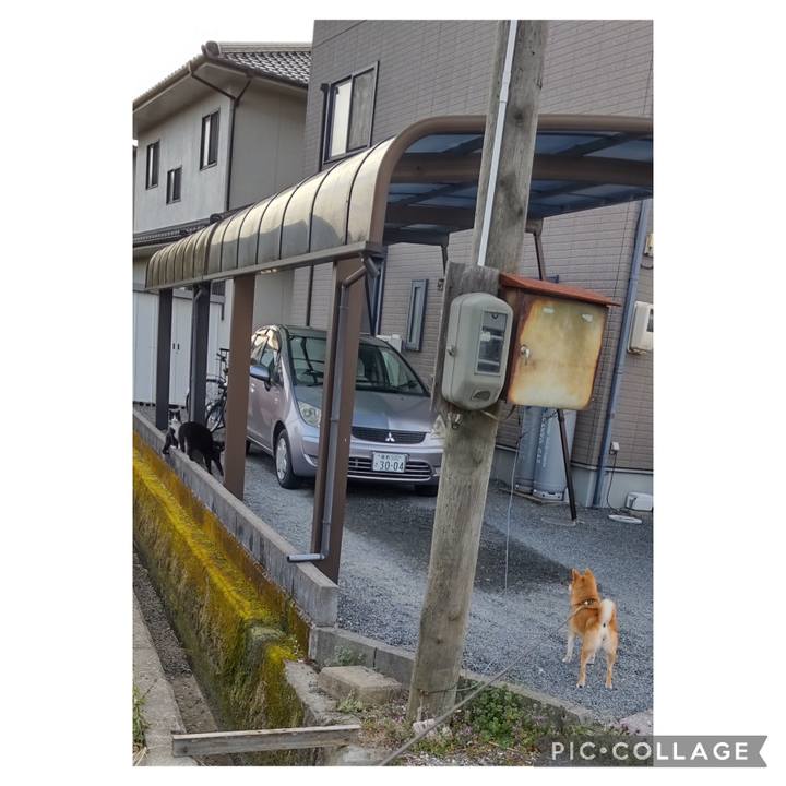 E06f8601 438d 46c7 ab72 8b513d90625a 1711582802940