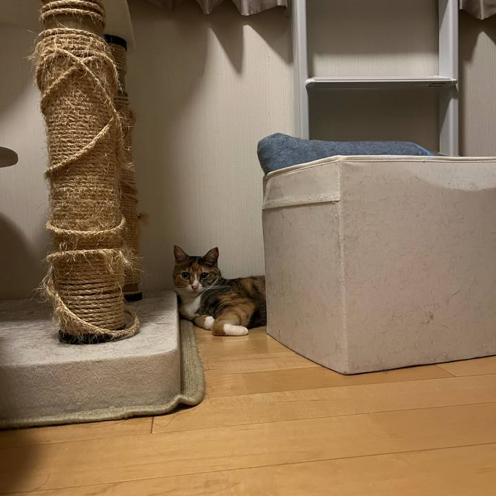 E06fae16 22d3 4751 aa9d 17532c6c8704 1696342333170