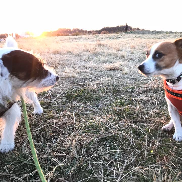 E06fe16a 42d4 4e82 93d2 e66bc51d4a5c 1513671760614