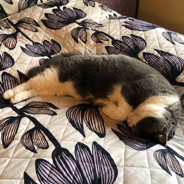 E0706aaf 192e 43a1 b2aa f73bba38578b 1587254444476