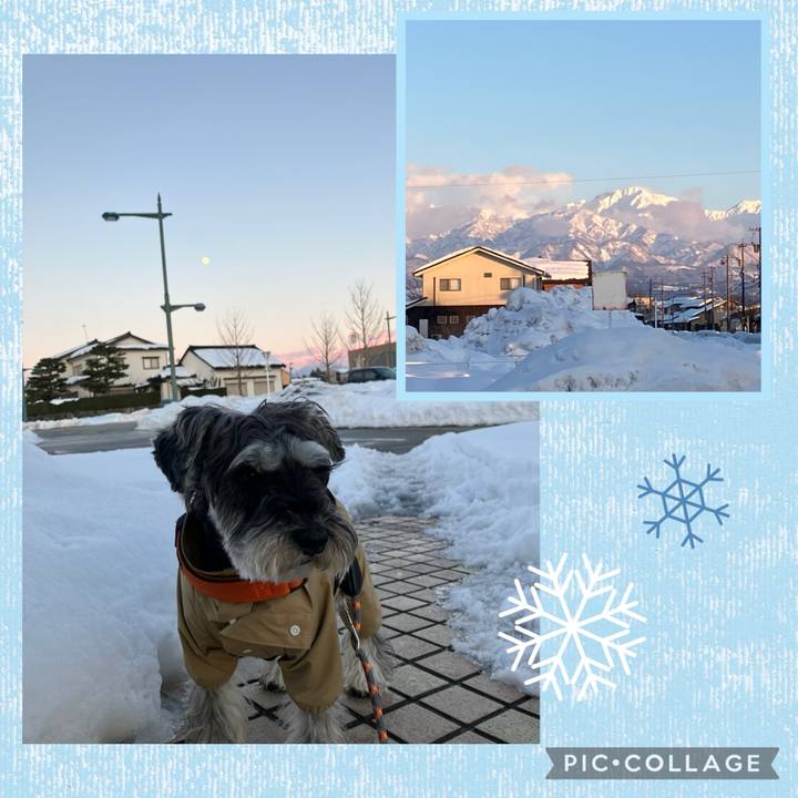 E0708d96 6b9b 402b b103 9f962d8a3b5d 1739279603848