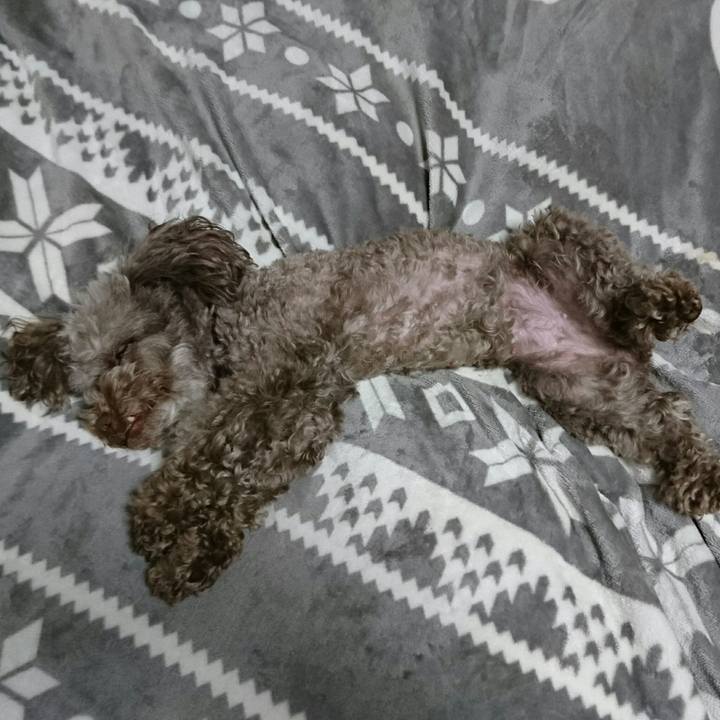 E0708fcc f63d 491c a691 6c91d89bee49 1522244273031