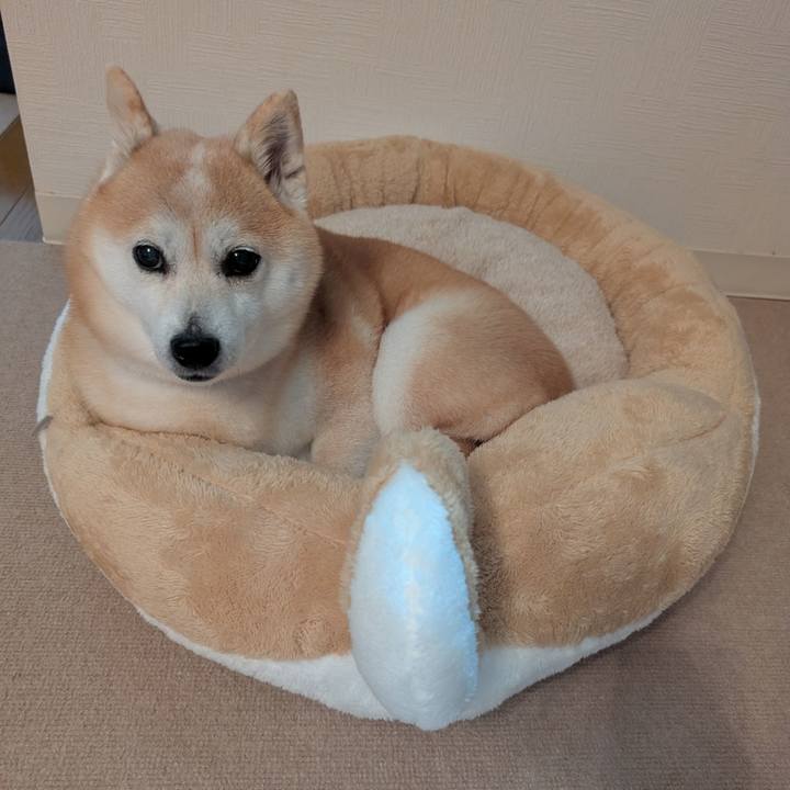 E070cabc bb7e 4e1b 820c 5417a5da8693 1764329112951