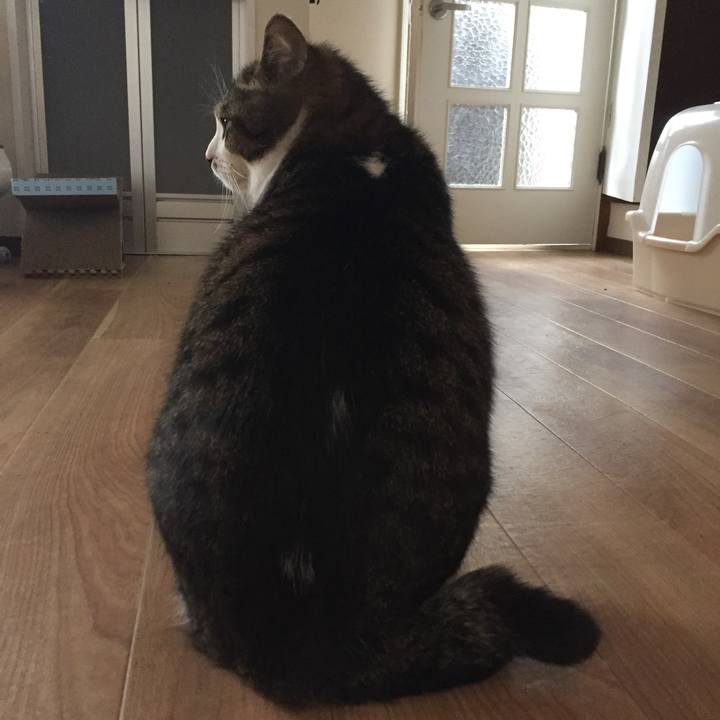 E0711347 b8ca 4c75 922d 8a49d263eebb 1526699480147