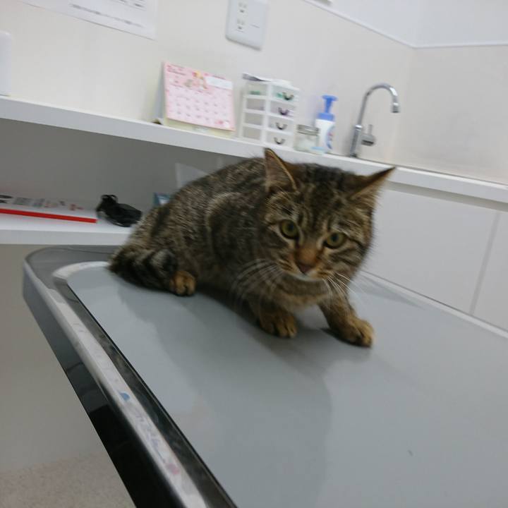 E0711d2c 1a20 481b 8b1e 8532bcf0d82d 1549509919003