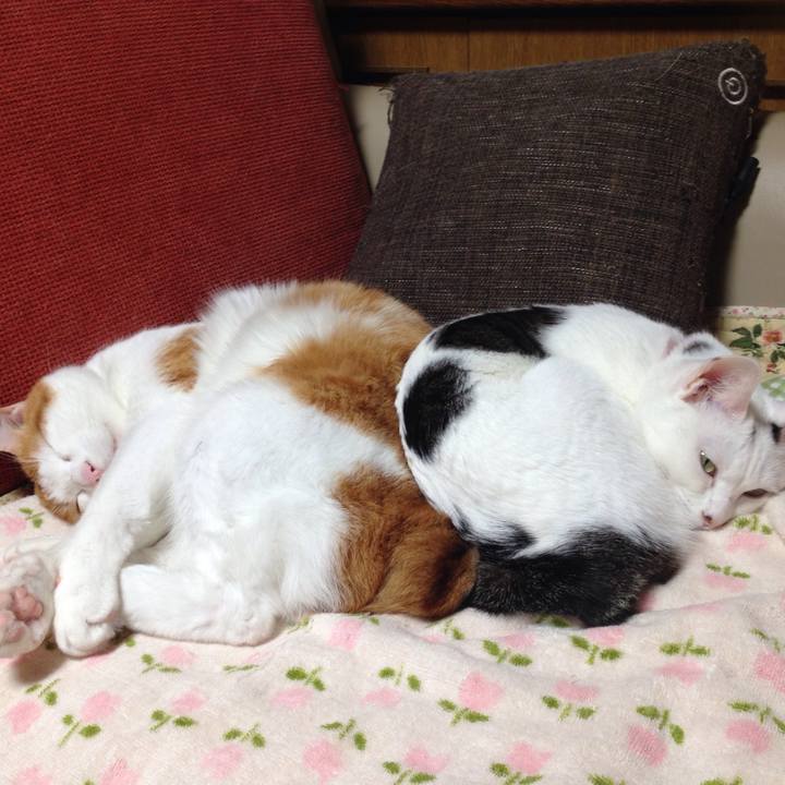 E0711d5c 0641 4d6b bff0 9ccae3980805 1508661780036