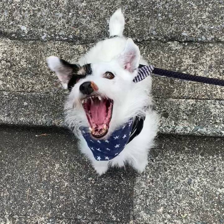 E07121a9 6157 45e7 ab52 987472351652 1722639311796