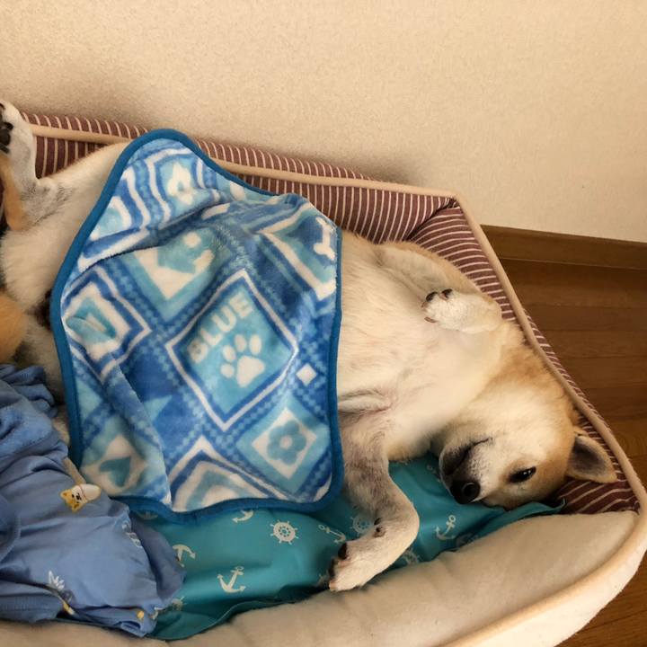 E071397d 6ef2 483f 9ed4 3df215880ee0 1563874221904