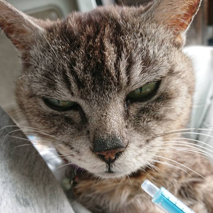 E0715103 663b 44fa 8395 4a7eec006dbd 1596323975905