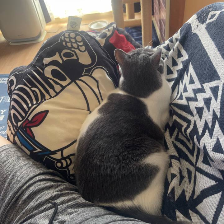 E0718f6f ca72 41ad 93cc 470755baafac 1726458117660