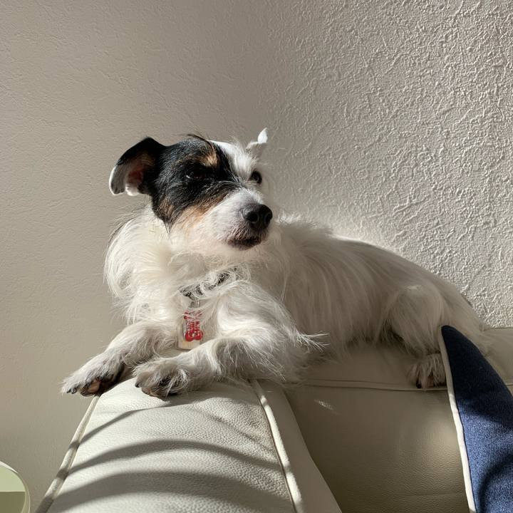 E071e11b de70 4287 b9b2 fab0fa960d0b 1703215543598