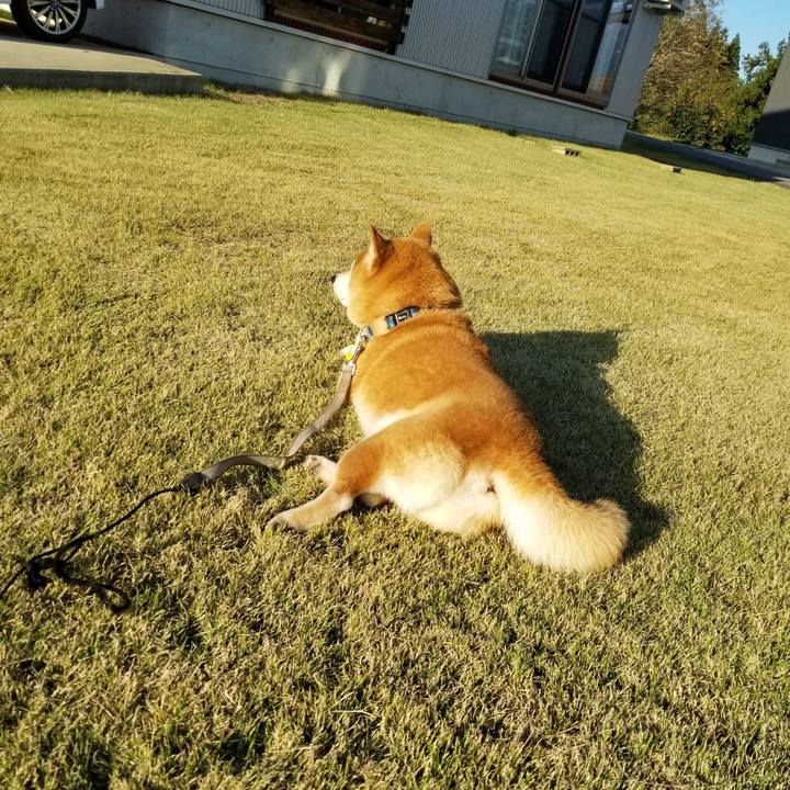 E0721227 d88e 48f3 b30b 8734c0e94578 1572244217846