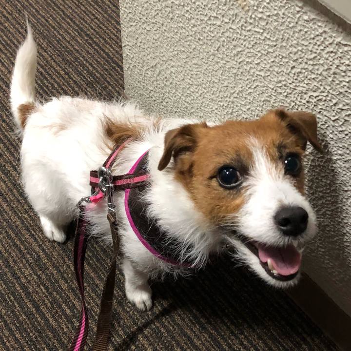 E072122d 62a5 4fff a212 b3eddcbf657d 1523197326625