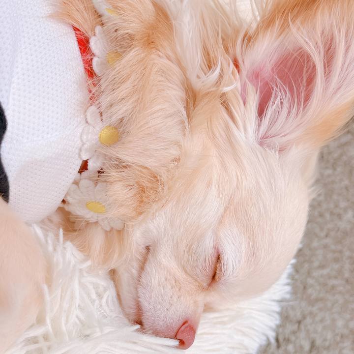 E0726839 b475 4a12 933b ee640b04d1a9 1656628902451