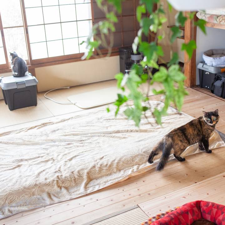 E0728dcd e276 48e5 be81 bea6eaeaf570 1574168255610