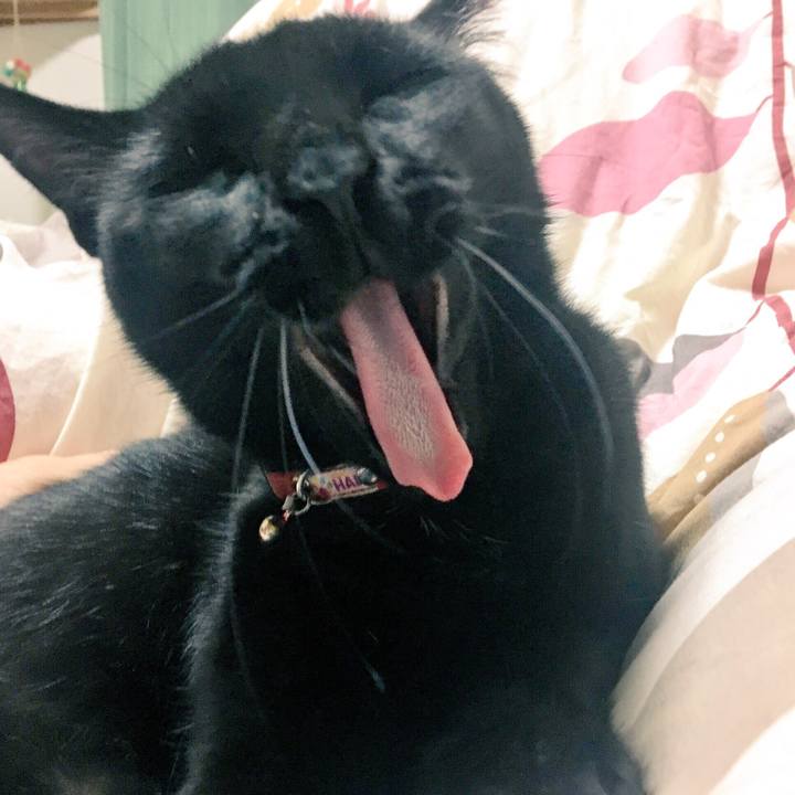 E072c484 f0cc 4929 ab6a afc608e6f962 1507680354535