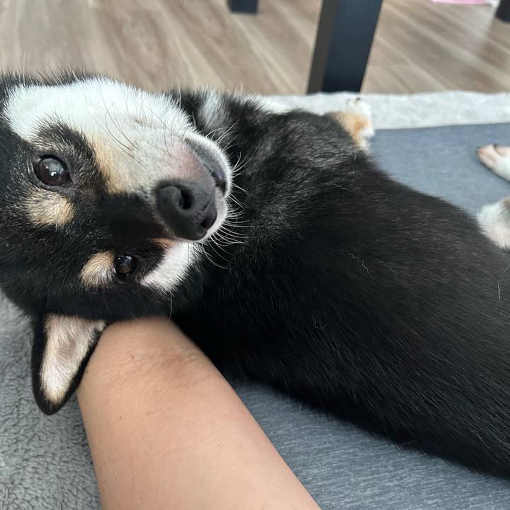 E072d7c4 156b 42f5 ba49 2361cf33c31a 1693013572639