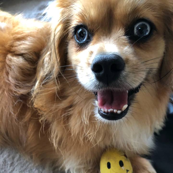 E072dd9c a7ab 46bd 81cf 00b8fc96d74c 1564265297300