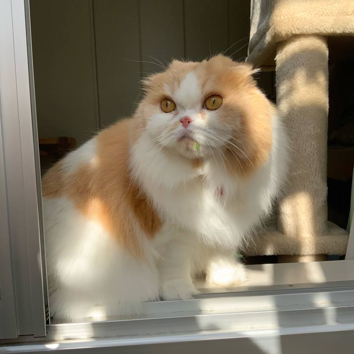 E072f5e4 b42b 42d2 bd4e a291430e5cbe 1701470044384