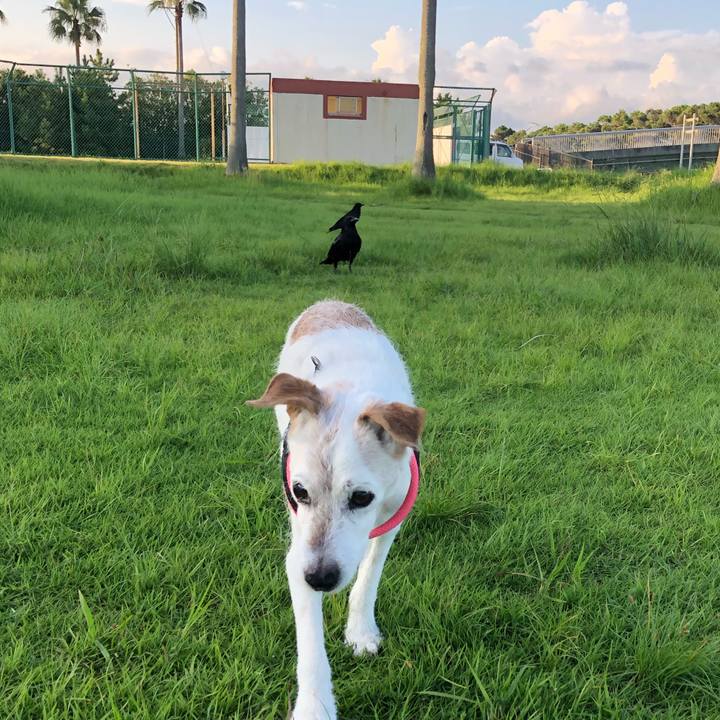 E07348a8 364a 4563 9792 ffb615b0aefb 1659874605819