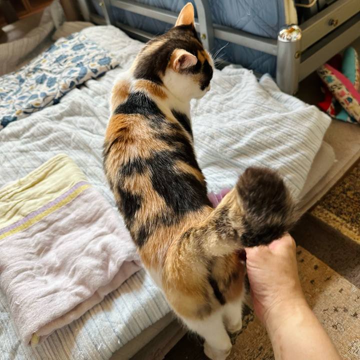 E0735384 9262 45dd 9a3e ab55e89b0c99 1690161088284