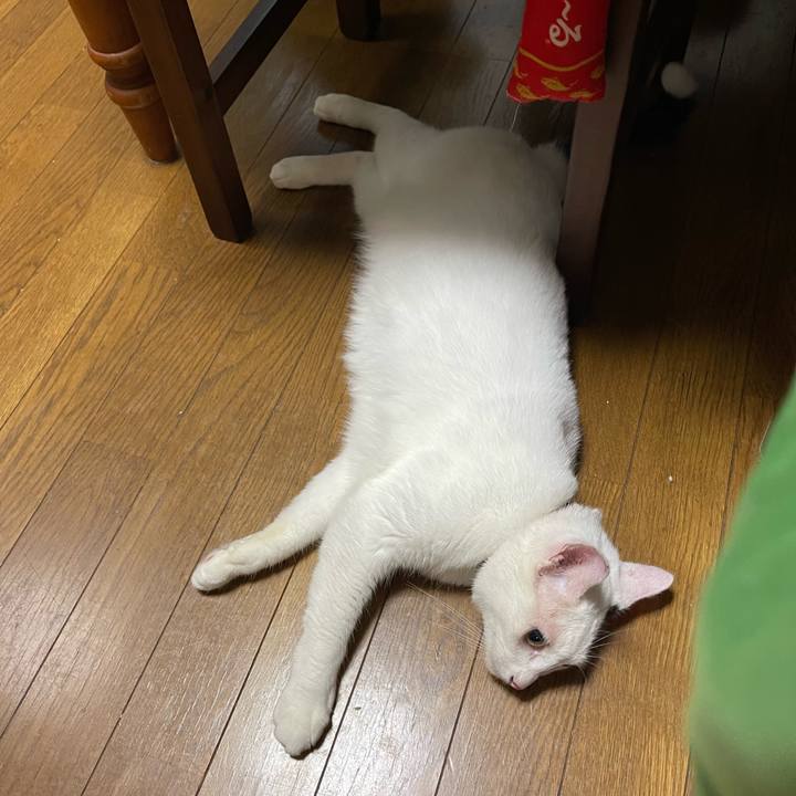 E0735420 18a9 42bf 8f72 847374d213fe 1755471234987