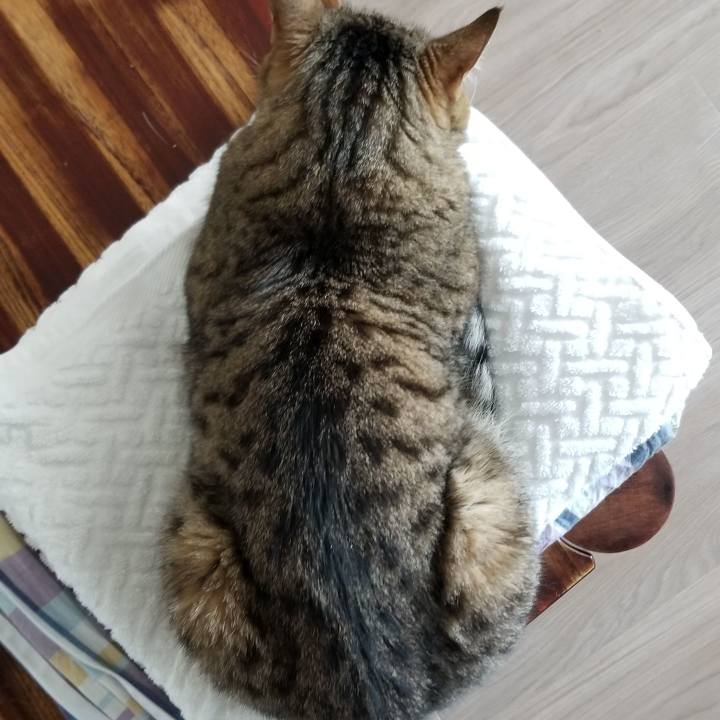 E0735d27 f76f 4338 ad0c 4b53cbcdde6e 1557551846526