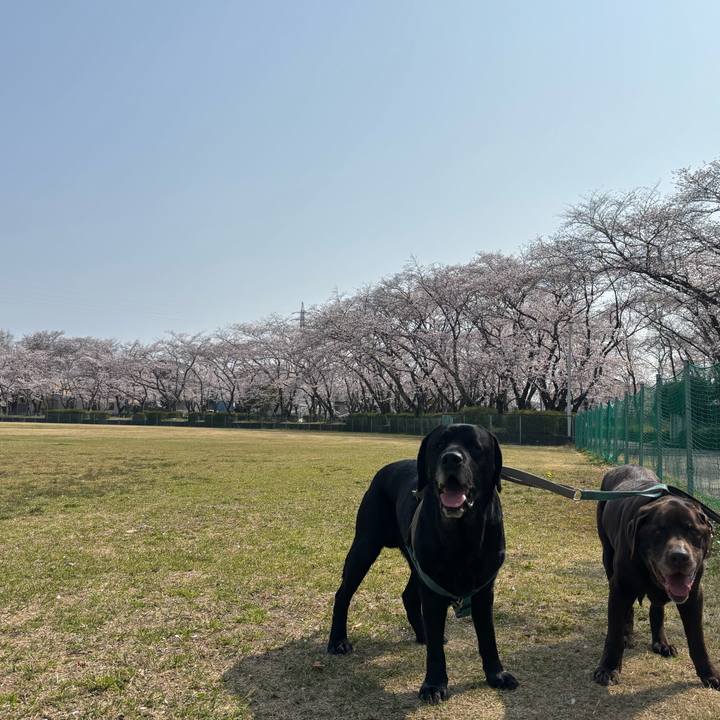 E07389c4 27a3 4f49 9eaf 87ac5b3672c6 1774783853994