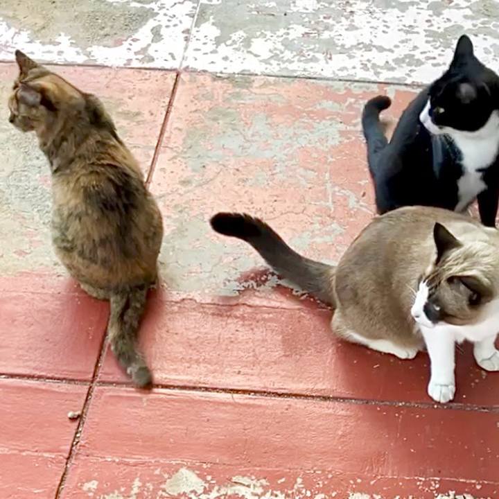 E073ac4b 1d28 4abf 86b8 5cbc20795c46 1730964933822