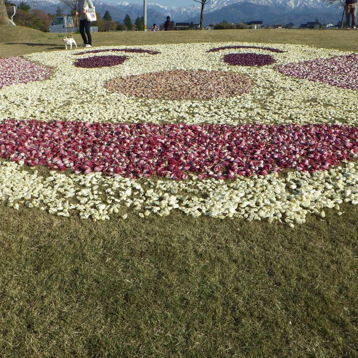 E073b0b7 2807 4441 b7e2 7dcb7d042e3f 1555760683547