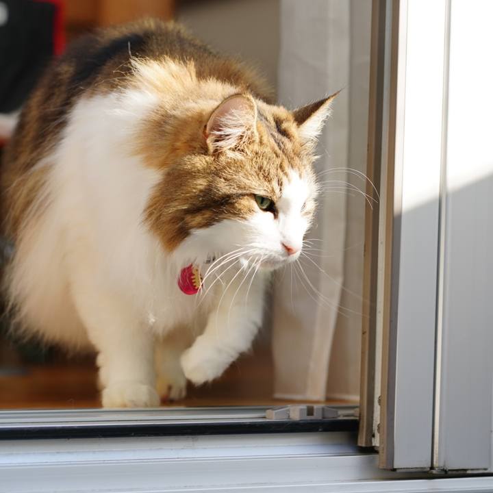 E073b4f7 088f 4fcf b4d5 f965481d8e4e 1698906961088