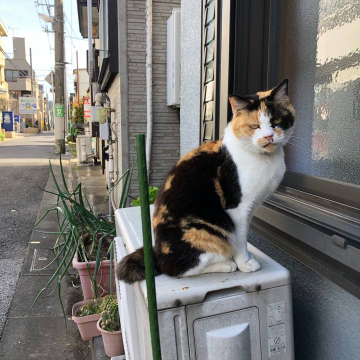 E073be8d e5e7 4af6 99ce 9bdb2b288732 1620577518059