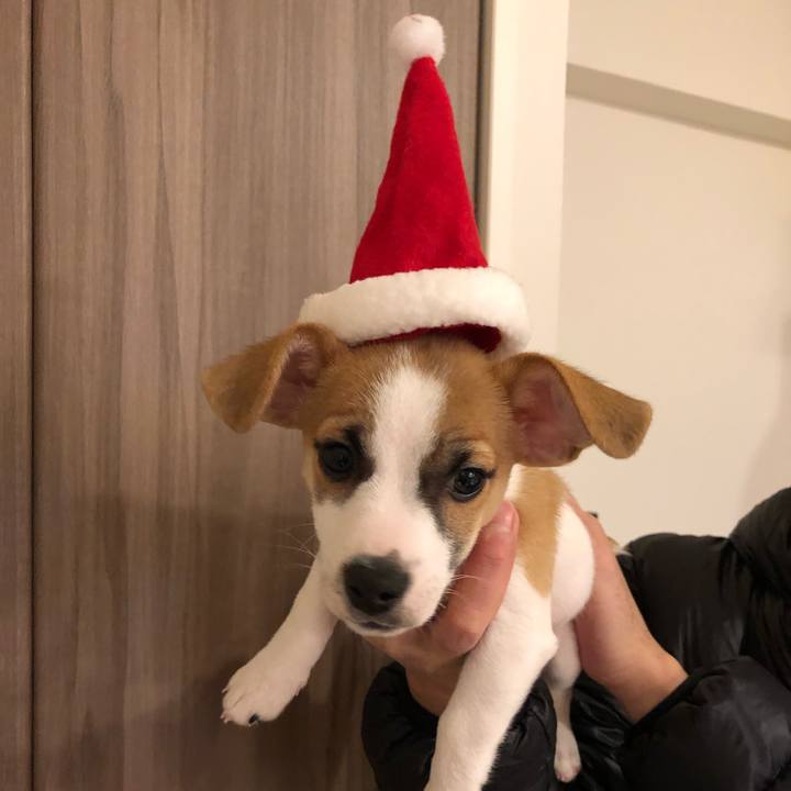 E0740dfc 117e 4dff b56e a65d636877ad 1545658525994