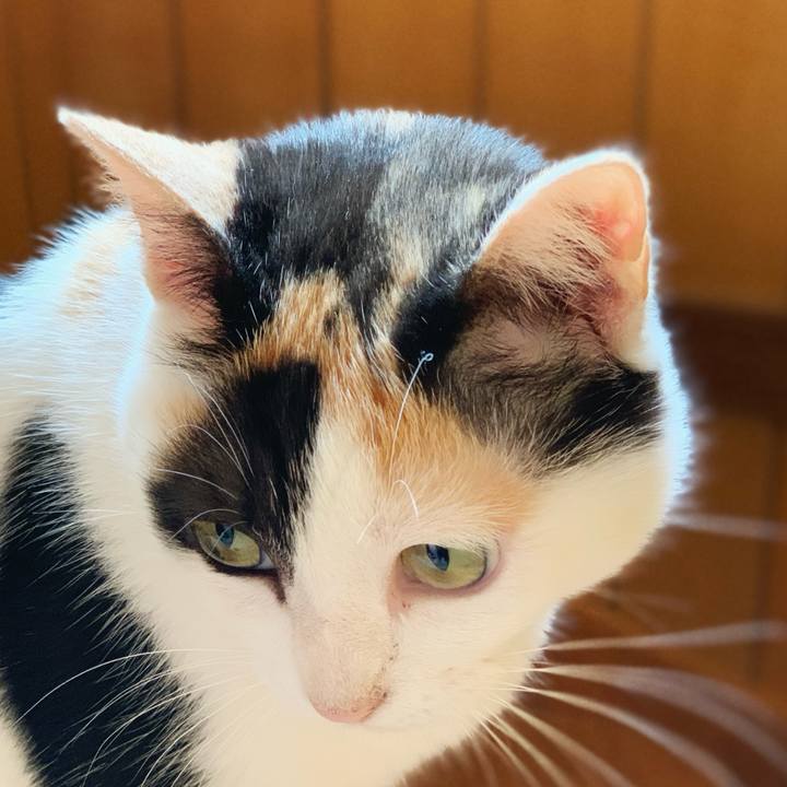 E0742ef0 c88a 42dc 9b49 641e3f466319 1598063859288