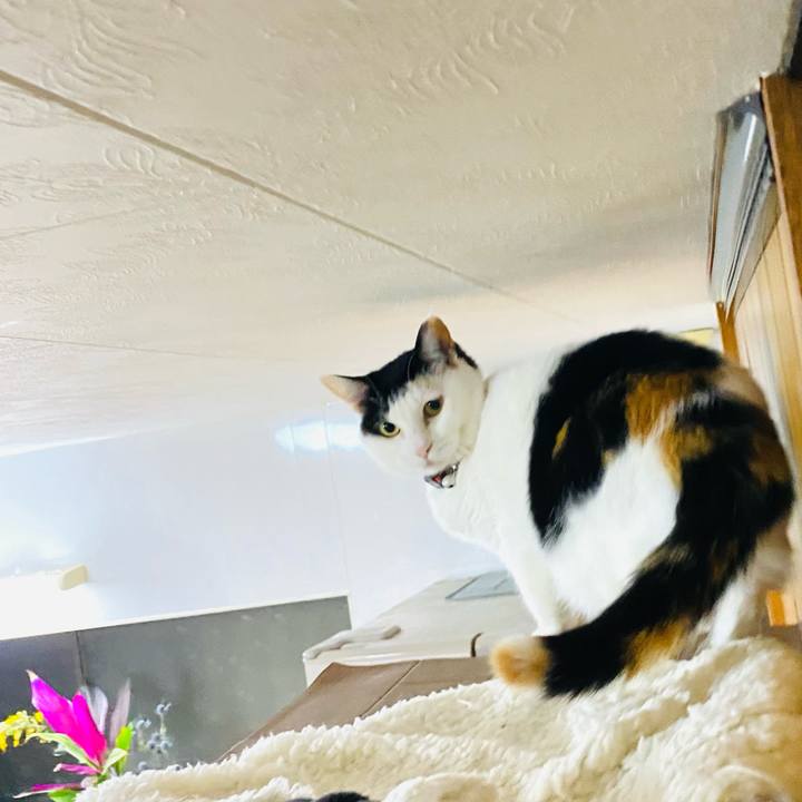 E0744944 b210 4aa1 8659 dbaf93962147 1679953404452