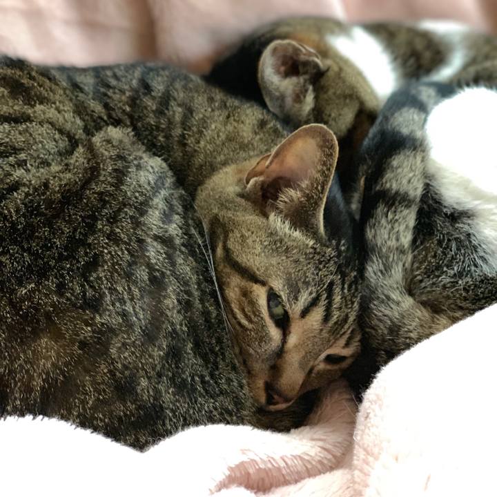 E0749df2 9940 409c b3b1 7d2278a77d53 1549673233212