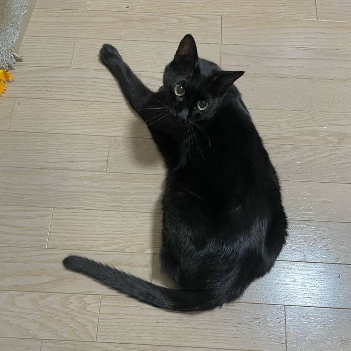 E074ac55 dedd 498a a2b3 6b94d33e130f 1752493912801