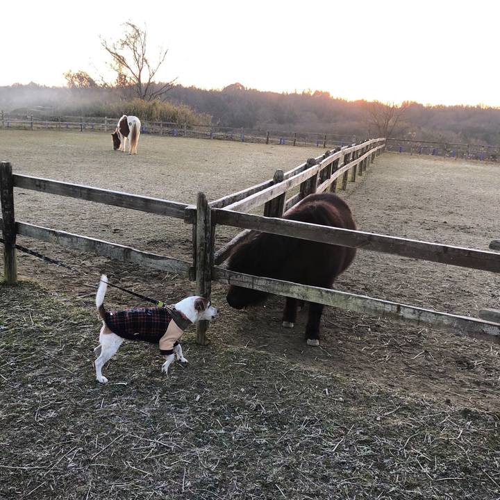 E074b953 791c 4afd b5b8 c6982b52d125 1546341652344