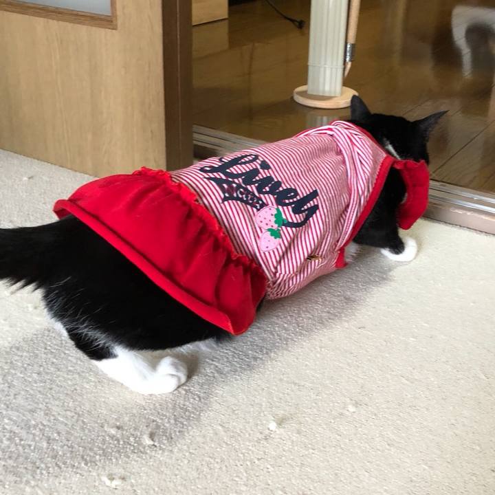 E074dc9c d843 443a a0eb d545954eef5a 1536797034633