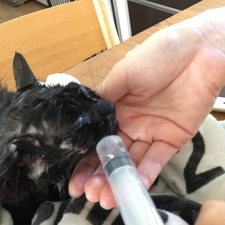 E0750db8 4ef6 4b7d 8f5b 349758a0bd0b 1532454190311