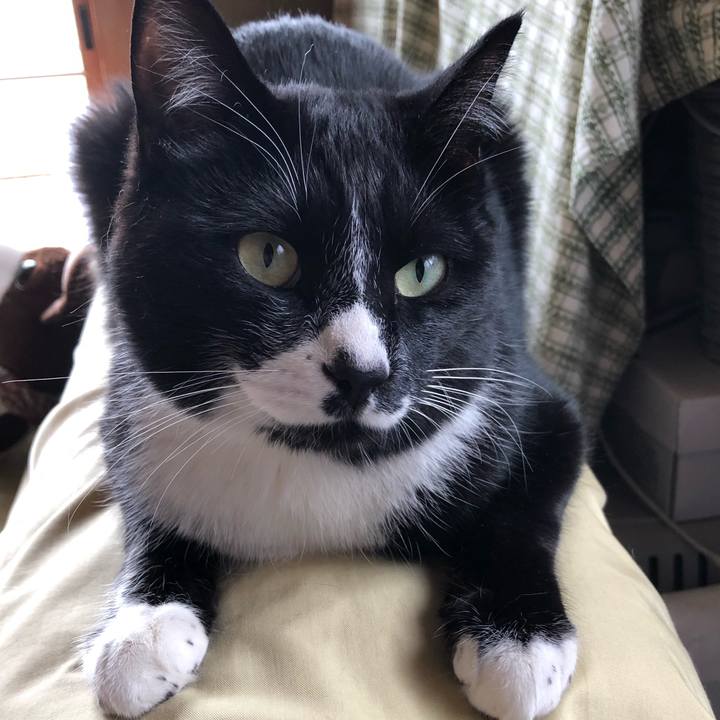 E0754afa d141 4b8c 817d 8d92b6848d96 1555299370677