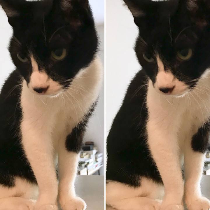 E0754f6c 8c11 4e4e bd80 23bd90b684f2 1510205615642