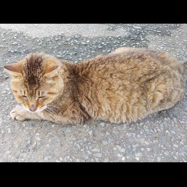 E0756a4b 474a 4bf6 a7c4 73a5d8da417f 1631275541805