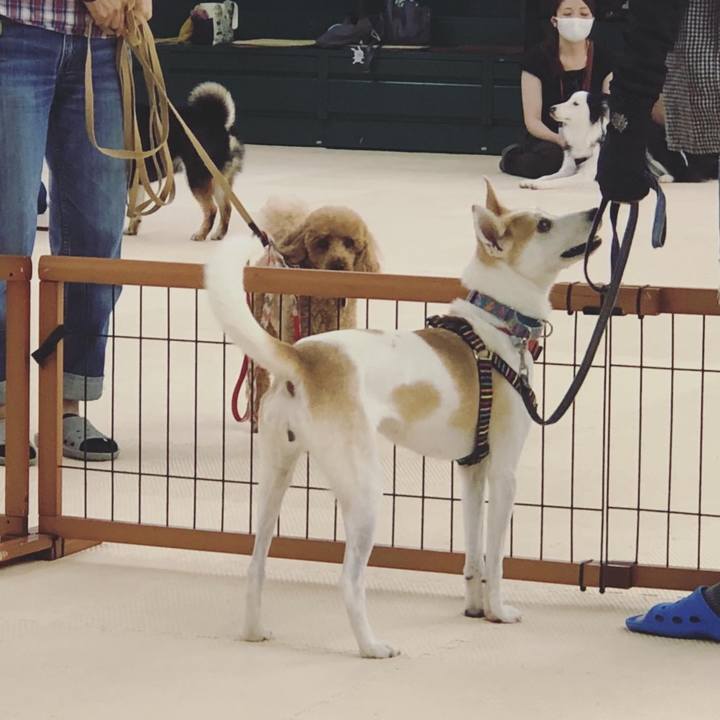 E0756bbb 9874 4938 a7da 97dbd3c94d32 1598531340950