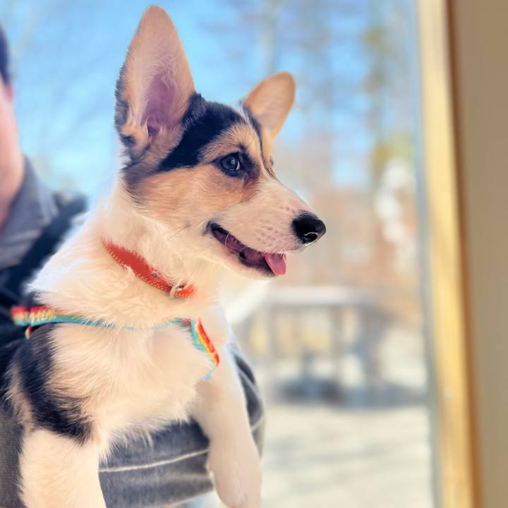 E07583ba 3990 460b 88bb f7f755c098fc 1774074772369