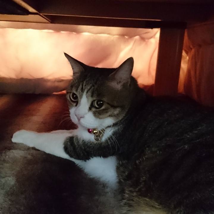 E07587af 65db 4c5f 9132 2b10958b750a 1544318741637